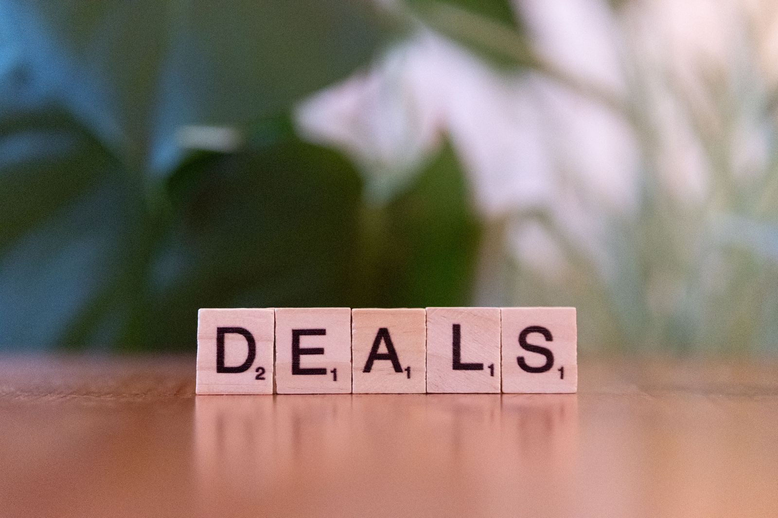 Lettres en bois formant le mot Deals